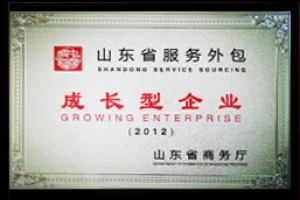 山东省服务外包成长型企业